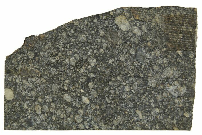 Aba Panu Chondrite Meteorite ( g) Slice - Witnessed Fall! #307267